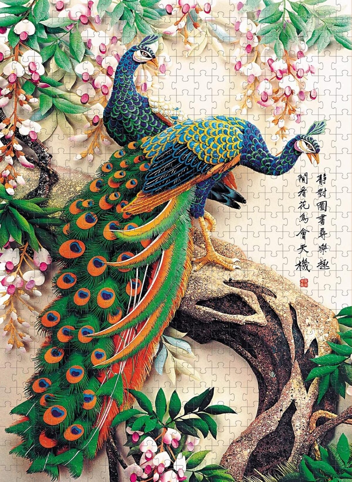 Test du puzzle relaxant Lucky Peacock 7000 pièces pour adultes